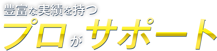 豊富な実績を持つプロがサポート